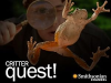 Critter_quest